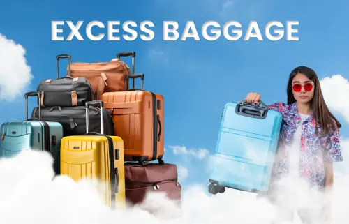 International Excess Baggage Courier Services in Bangalore